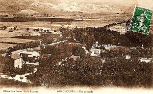 Ammi-moussa 604